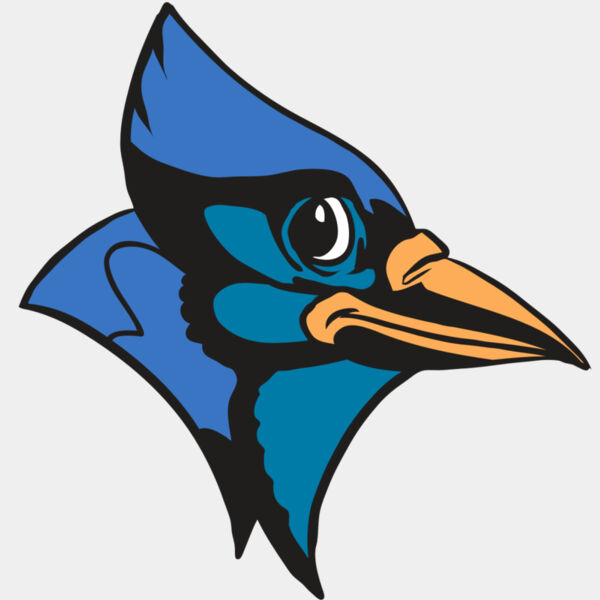 AR31 BLUEJAY 04 RQC Thumbnail