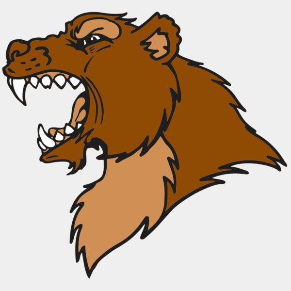 AR BEAR 22 RC Thumbnail