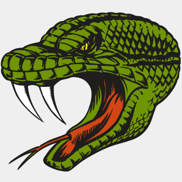 BAW SNAKE 14 RC Thumbnail