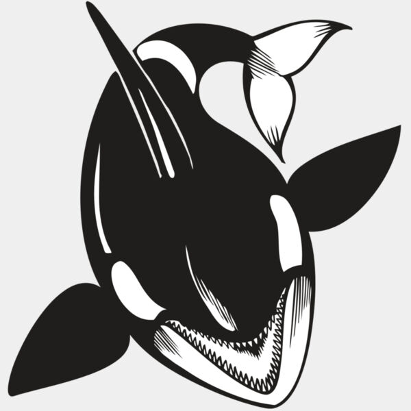 BAW KLRWHALE 01 RC Thumbnail