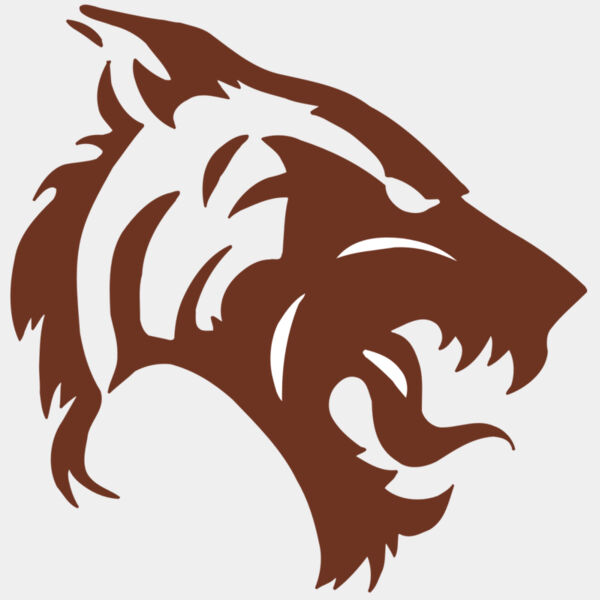 AR5 TIGER 06 RQC Thumbnail