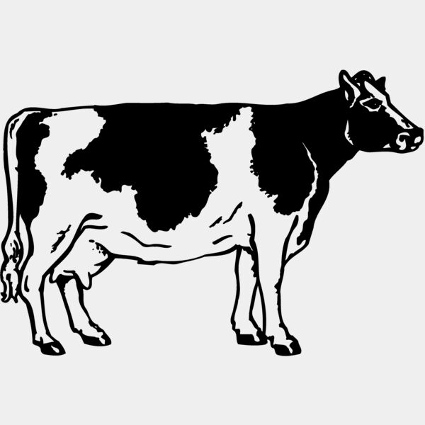 COW024 Thumbnail