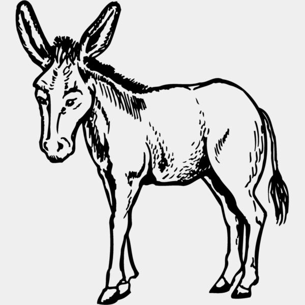 BURRO001 Thumbnail