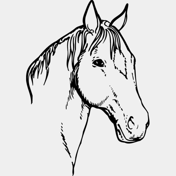 HORSE008 Thumbnail