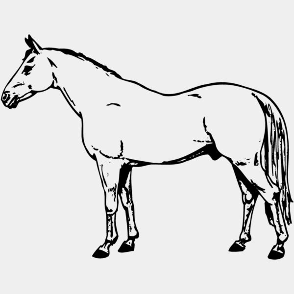 HORSE017 Thumbnail
