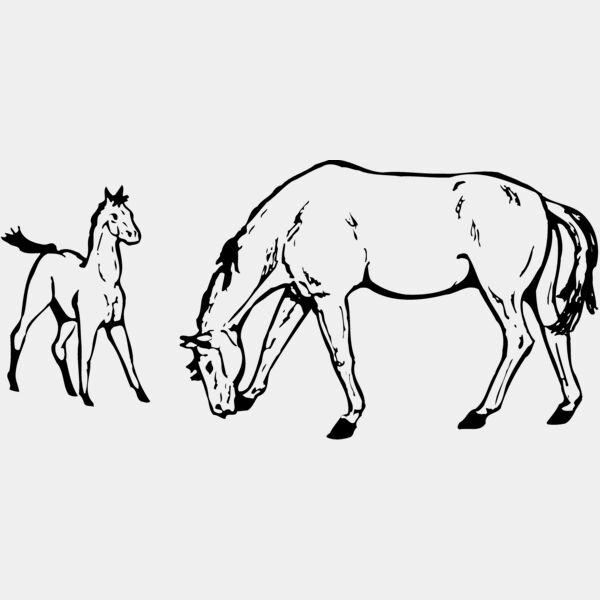 HORSE045 Thumbnail