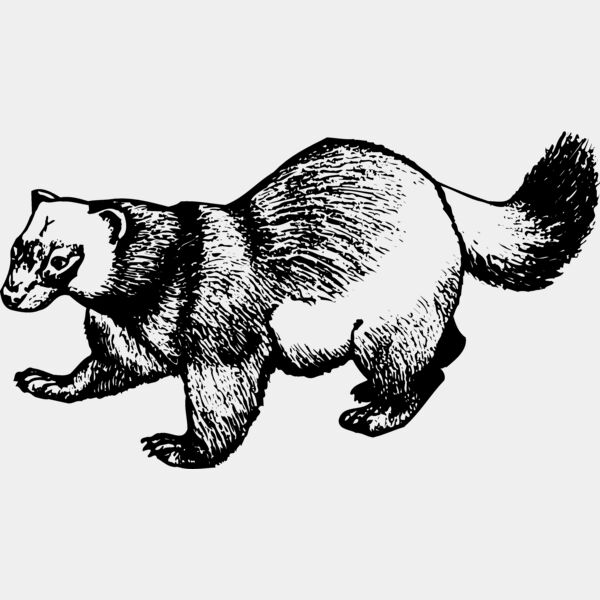 BADGER02 Thumbnail
