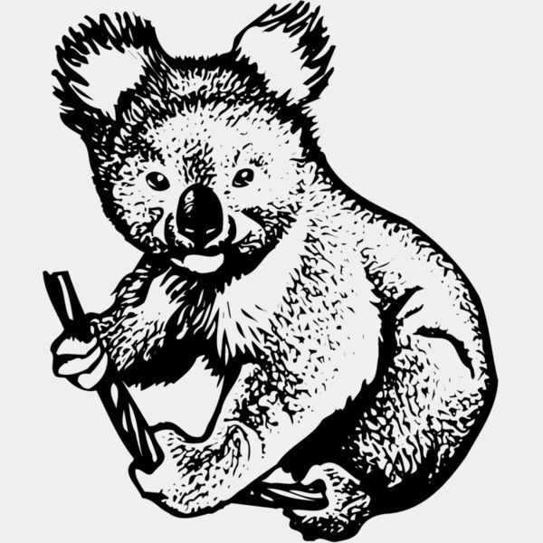 BEAR007 Thumbnail