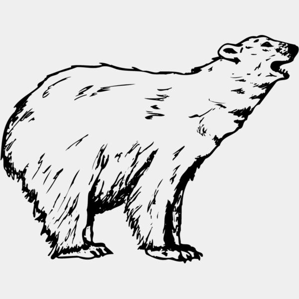 BEAR016 Thumbnail