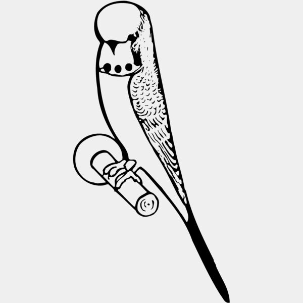 BIRD016 Thumbnail