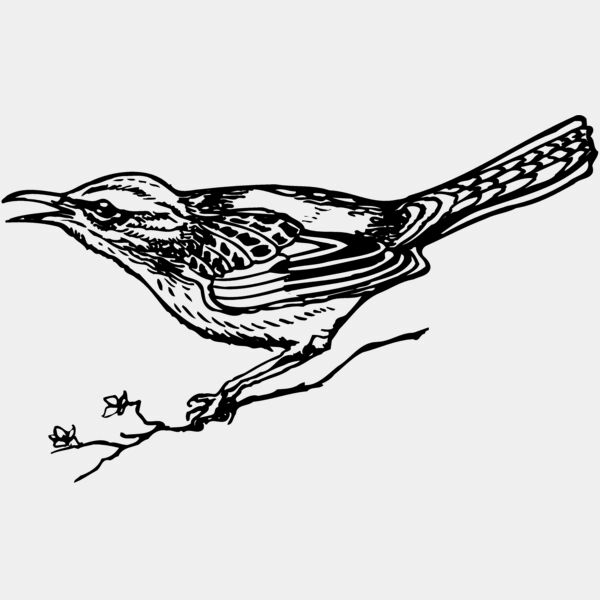 BIRD018 Thumbnail