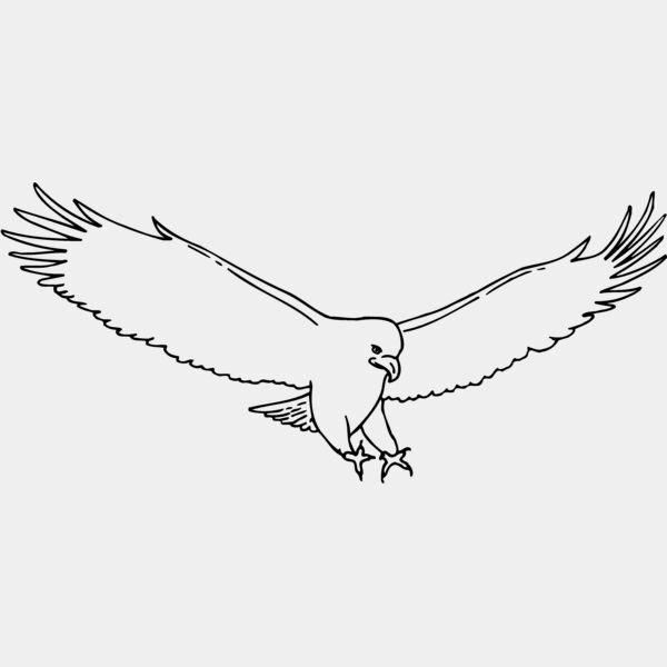 EAGLE46 Thumbnail
