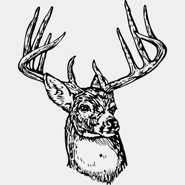 DEER006 Thumbnail