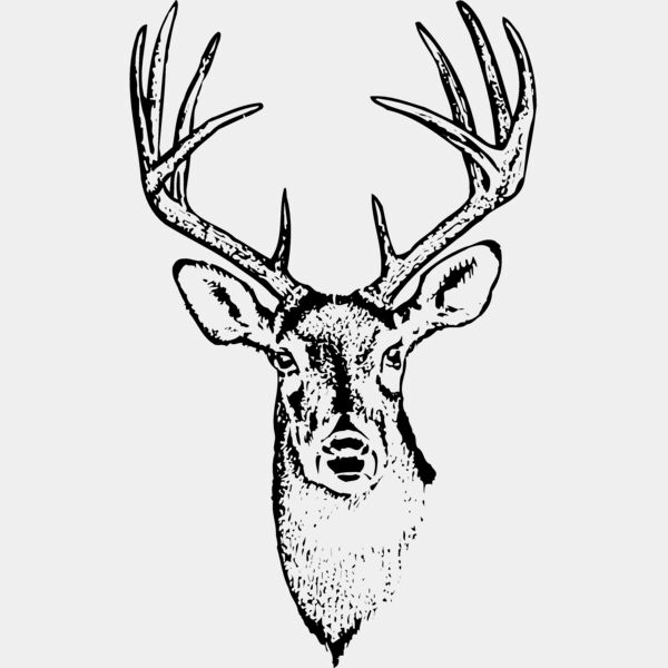 DEER010 Thumbnail