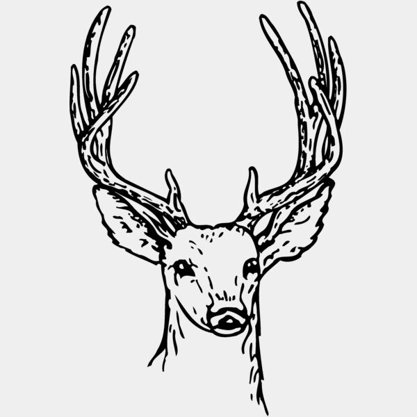 DEER011 Thumbnail