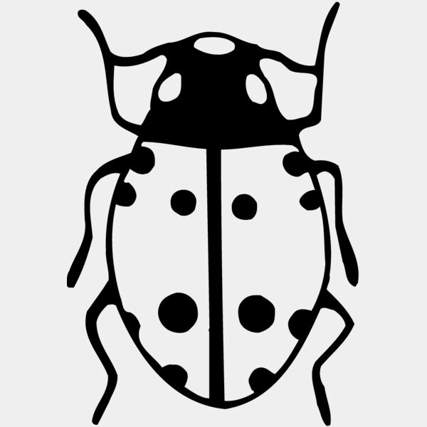 BEETLE03 Thumbnail