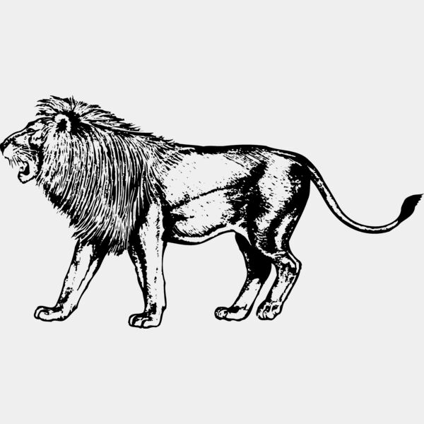 LION003 Thumbnail