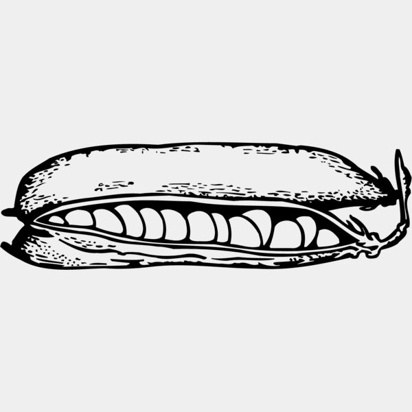 VEG009 Thumbnail