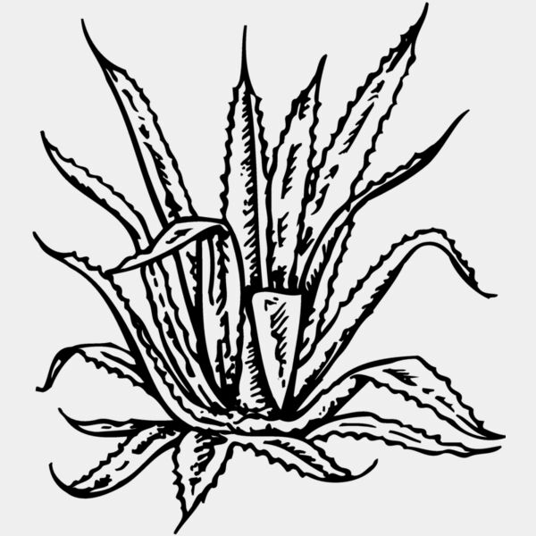 PLANT02 Thumbnail