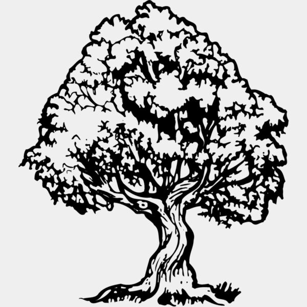 TREE0026 Thumbnail