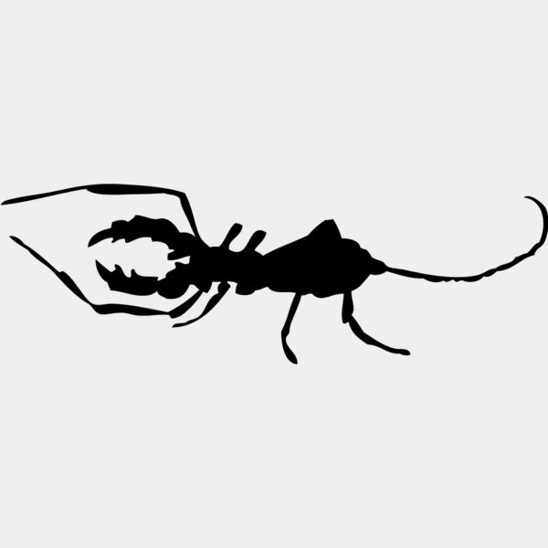 Bug SIlhouette 20 Thumbnail