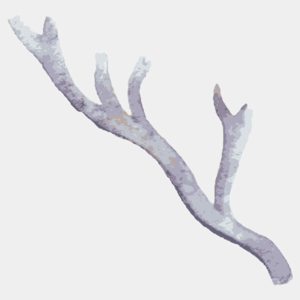 Watercolor Branch Antler 6 Thumbnail