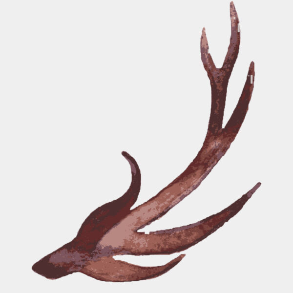 Watercolor Branch Antler 1 Thumbnail