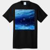 Core Cotton Tee Thumbnail