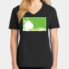 Ladies Core Cotton V-Neck Tee Thumbnail